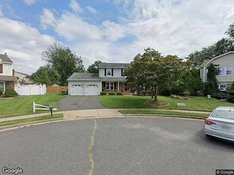 Daisy, MIDDLESEX, NJ 08846