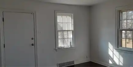 Minnie, SAINT LOUIS, MO 63136