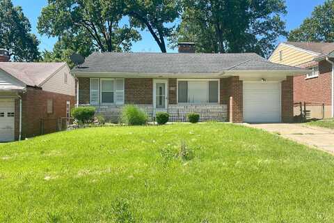 Blue Spruce, SAINT LOUIS, MO 63121