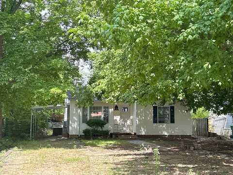 Pecan, HORNERSVILLE, MO 63855