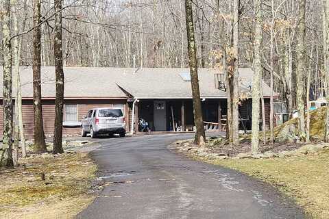 Fern, HAWLEY, PA 18428