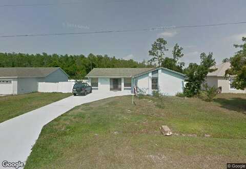 Squirrel, KISSIMMEE, FL 34759