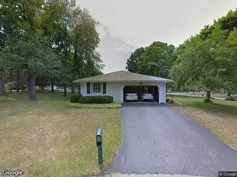 White Birch, ROCHESTER, NY 14624