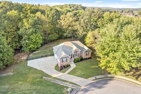 Brick, ADAMS, TN 37010