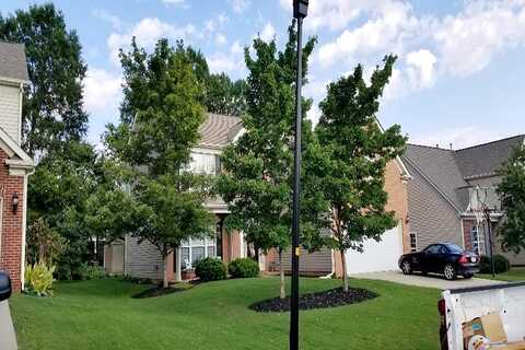 Laurel Meadow, FORT MILL, SC 29708