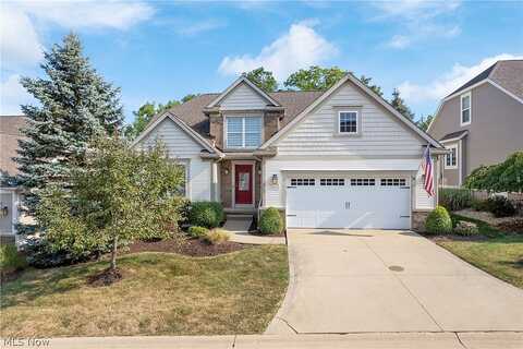 Falcon Ridge, MEDINA, OH 44256