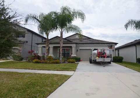 Amapola Bloom, RIVERVIEW, FL 33579