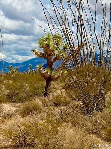 Acres S Dale Evans Road, Yucca, AZ 86438