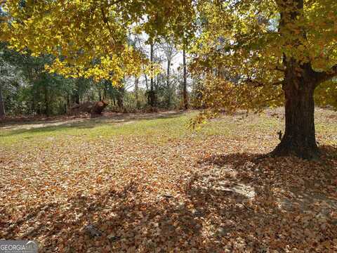W Highway 24, Bartow, GA 30413