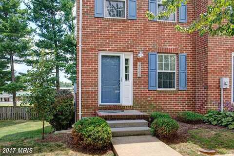 Limestone, WINCHESTER, VA 22601