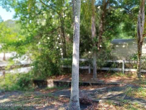 Finance, WEEKI WACHEE, FL 34607