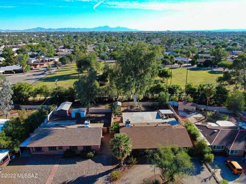 Scarlett, TUCSON, AZ 85711