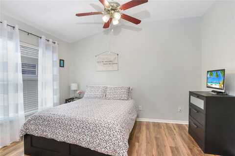 Gato Del Sol, WESLEY CHAPEL, FL 33544