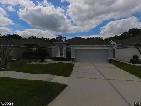 Gato Del Sol, WESLEY CHAPEL, FL 33544