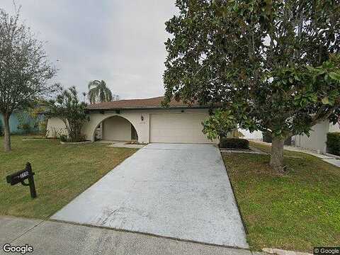 Swan, SAFETY HARBOR, FL 34695