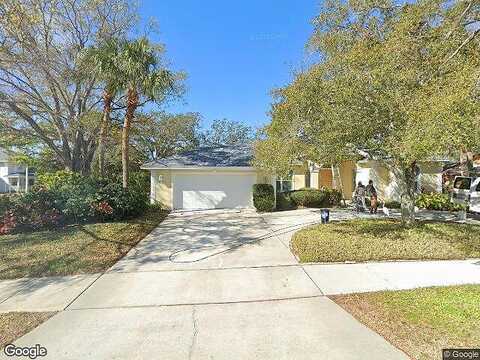 Armadillo, PALM HARBOR, FL 34683