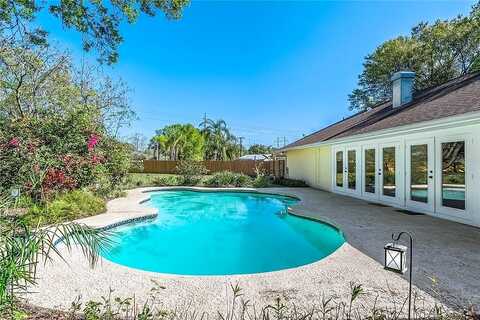 Calico, TAMPA, FL 33618
