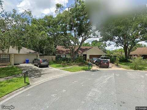 Calico, TAMPA, FL 33618