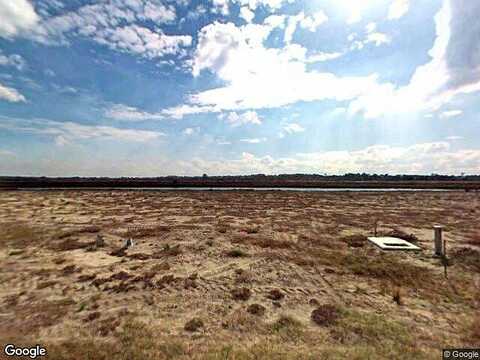 Mistflower, ALVA, FL 33920