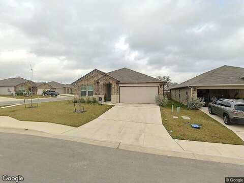 Armadillo, SEGUIN, TX 78155