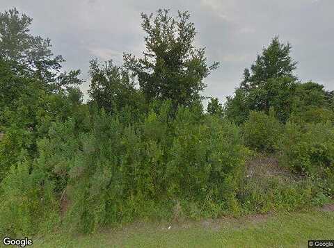 Cheshire, KISSIMMEE, FL 34758