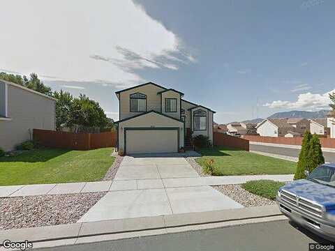 Canyon Wren, COLORADO SPRINGS, CO 80916