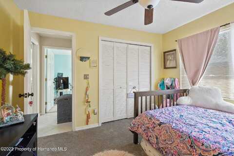 Ventura, SPRING HILL, FL 34608