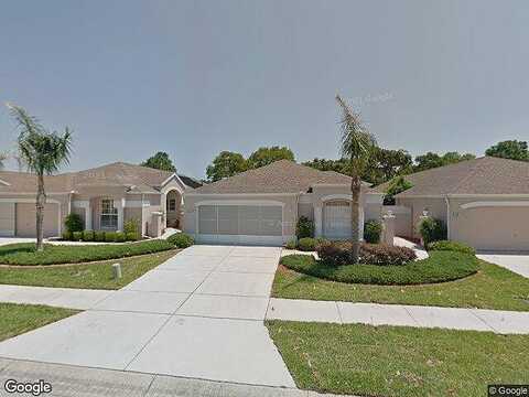 Royal Palm, SPRING HILL, FL 34608
