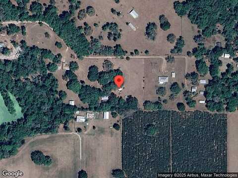 Crooked Tree, BROOKSVILLE, FL 34602