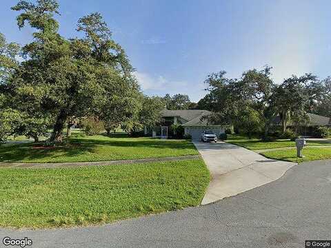 Mango, SPRING HILL, FL 34609