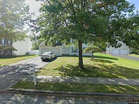 Scarlet Oak, CHALFONT, PA 18914