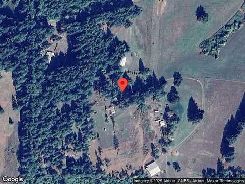 Steinmetz, JUNCTION CITY, OR 97448