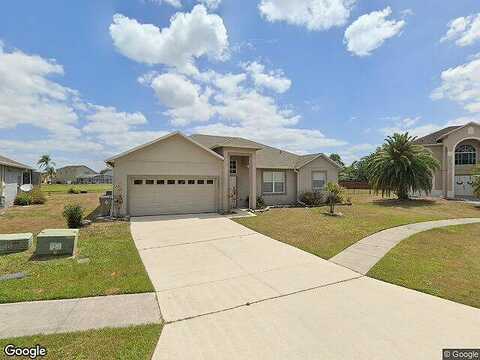 Crepe Myrtle, KISSIMMEE, FL 34758