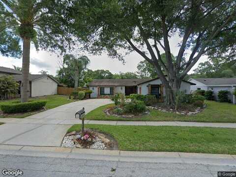 Dellbrook, TAMPA, FL 33624