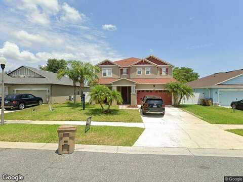 Warbler, KISSIMMEE, FL 34746