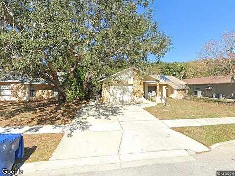 Narcissus, HOLIDAY, FL 34691