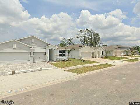 Scaglione, LUTZ, FL 33549