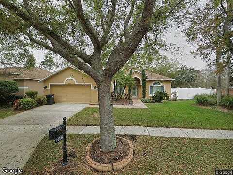 Dove Creek, TAMPA, FL 33647