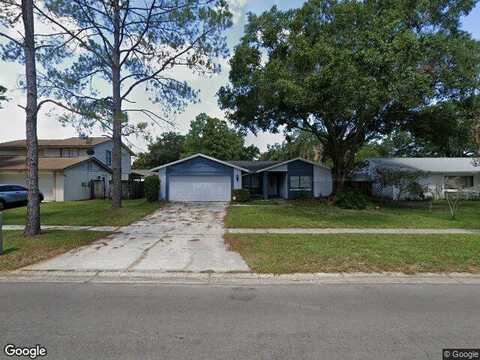 Country Lake, TAMPA, FL 33624