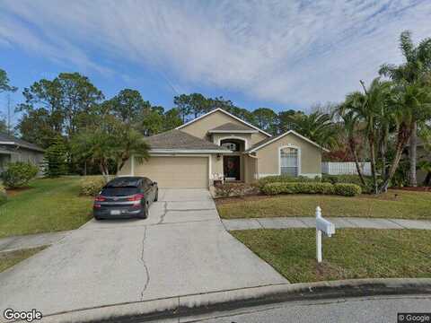 Coral Berry, TAMPA, FL 33626