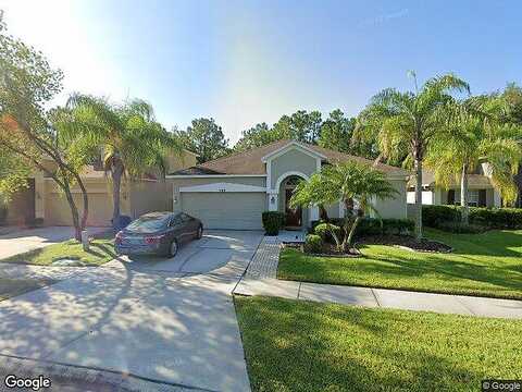 Blazing Star, TAMPA, FL 33626