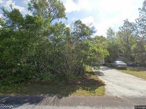 Hyacinth, FLORAL CITY, FL 34436