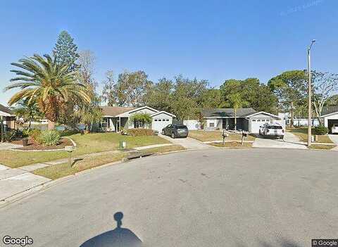 Sawgrass, OLDSMAR, FL 34677