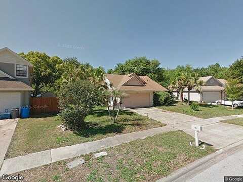 Pink Carnation, ORLANDO, FL 32825