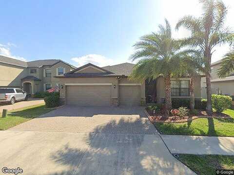 Celtic Ash, RUSKIN, FL 33573