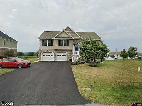 Raven, SHIPPENSBURG, PA 17257