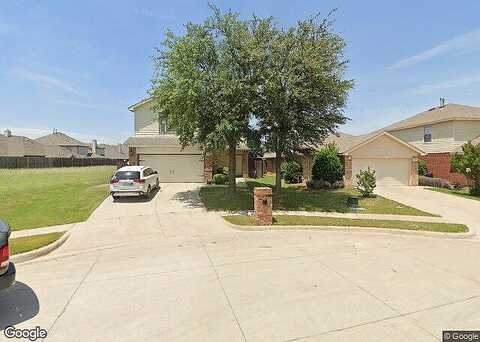 Grizzly Bear, FORT WORTH, TX 76244