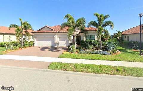 Whisk Fern, VENICE, FL 34293
