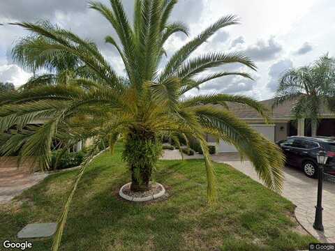 Camellia Green, SUN CITY CENTER, FL 33573