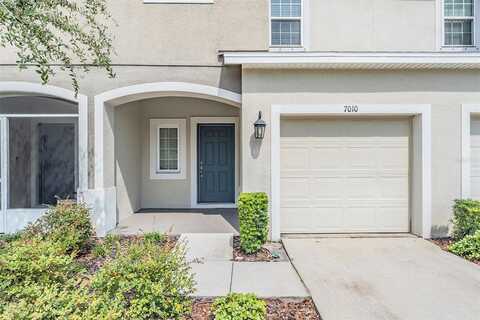 Summer Holly, RIVERVIEW, FL 33578